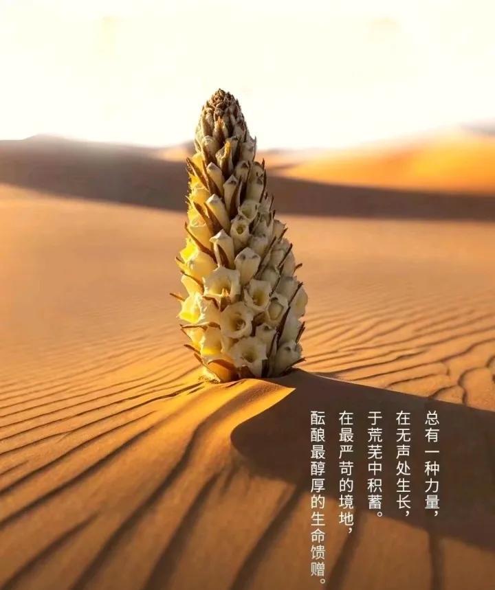 只有在不舒服的状态下才会发生，该奋进的时候一定不要躺平摆烂，让自己时刻保持危机感