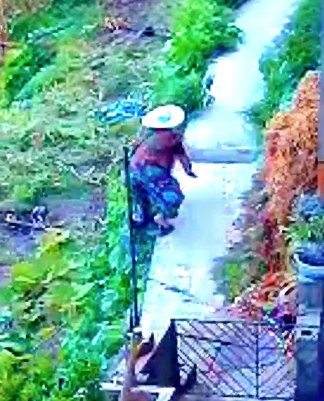 老人拉开自家小铁门出去，可刚走了几步，一个不小心就从门前狭窄小路上摔倒滚下了坡，