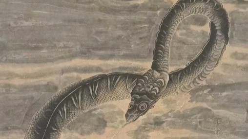 2026年1月：生肖蛇，马易劳而无功，生肖羊得人相助！