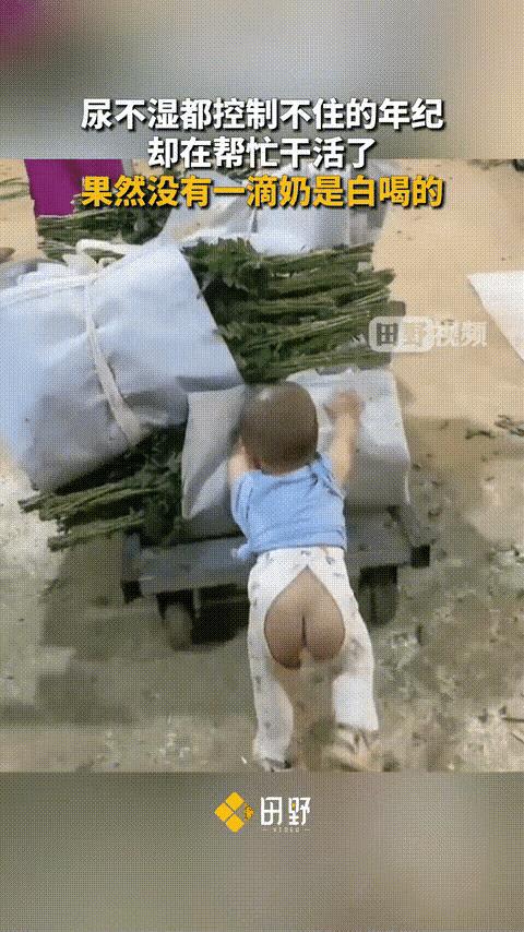 人见人爱小宝贝，穿着开裆裤就能帮忙干活了。