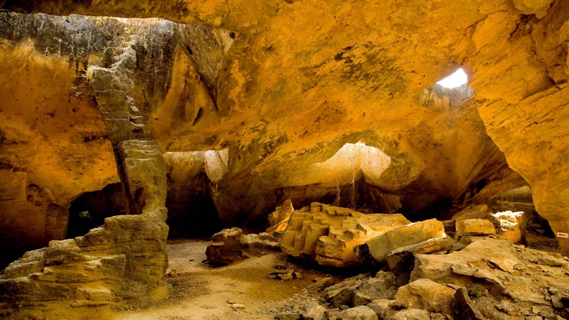 2025年7月23日幸福星座：第四位，双鱼座