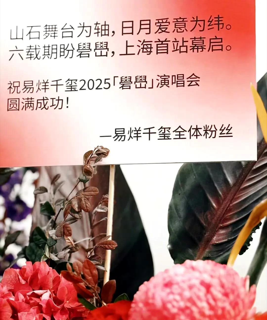 《易烊千玺2025「碧围」演唱会上海启幕！粉丝以爱为誓，帝王花与鹤望兰的双向奔赴