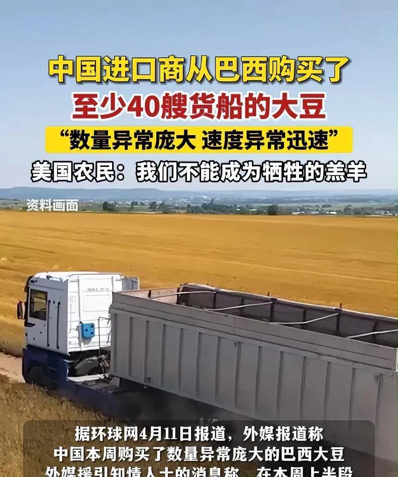 前脚刚接到中国大豆的海量订单，后脚就对中国的汽车玻璃发起反规避调查。
没错，这里