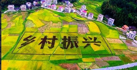 超过7成的员工离职，只因一人。

不是薪酬问题，而是他的直接领导。

一个团队有