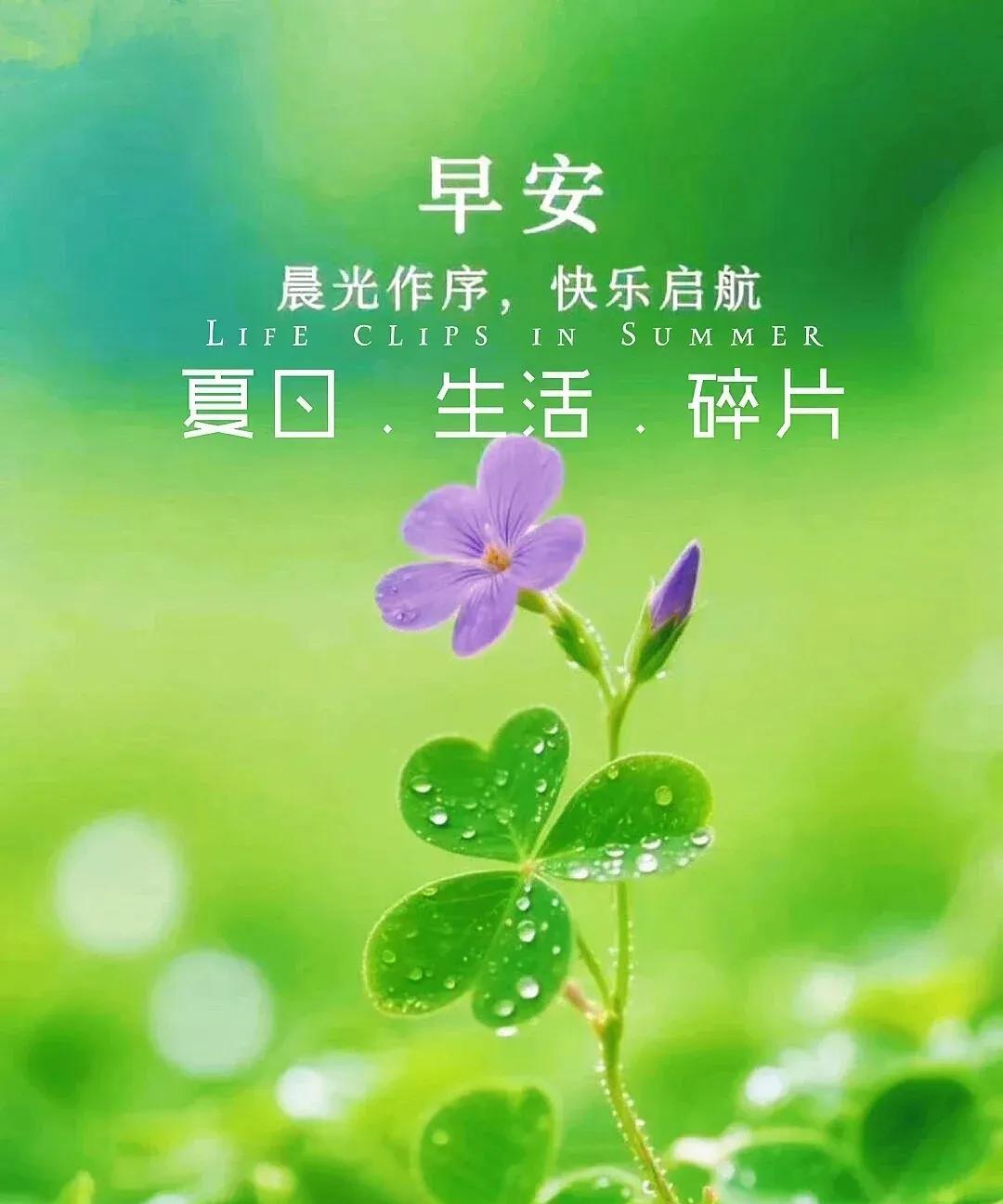 《浣溪沙·生活如水》
生似白泉无味流，糖盐茶韵自家谋。何须艳羡别杯优。
偶遇苦时