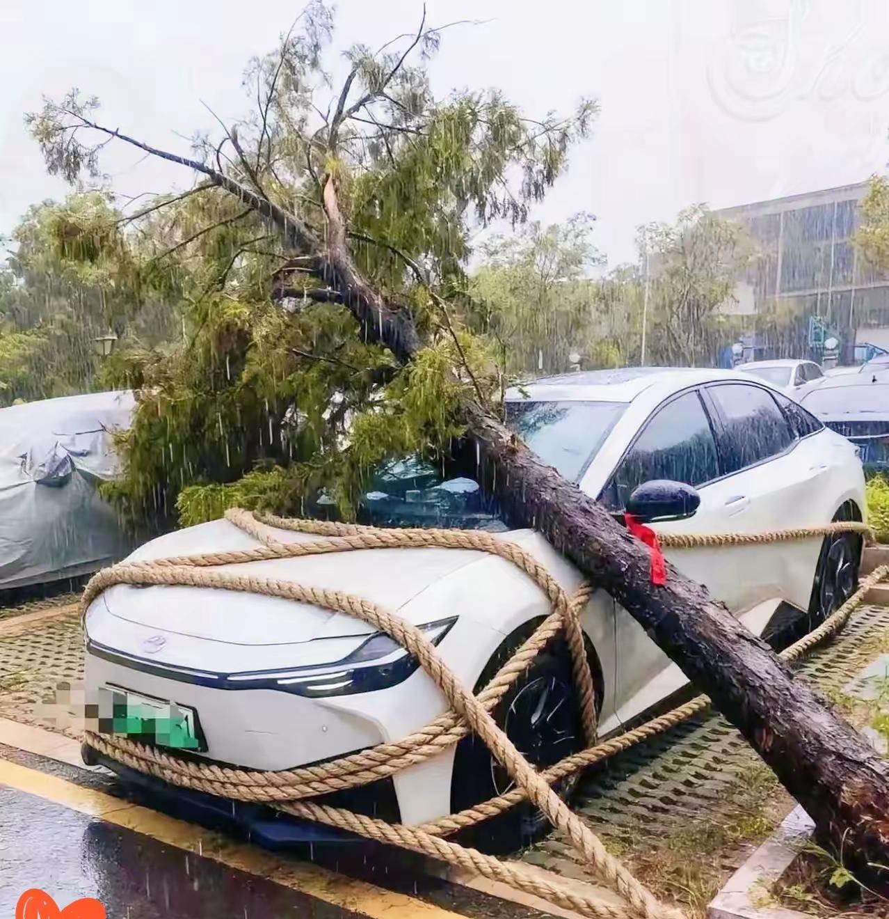 《台风来袭》
捆车能防车吹跑，
司机大哥好睡觉。
谁知醒来人苦笑，
…………？