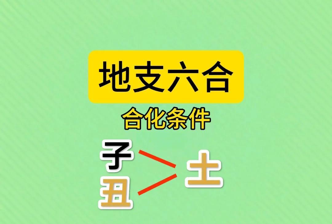 《地支六合一子丑合化土》
地支六合是中国传统命理学中的重要概念，子丑合土是其中之
