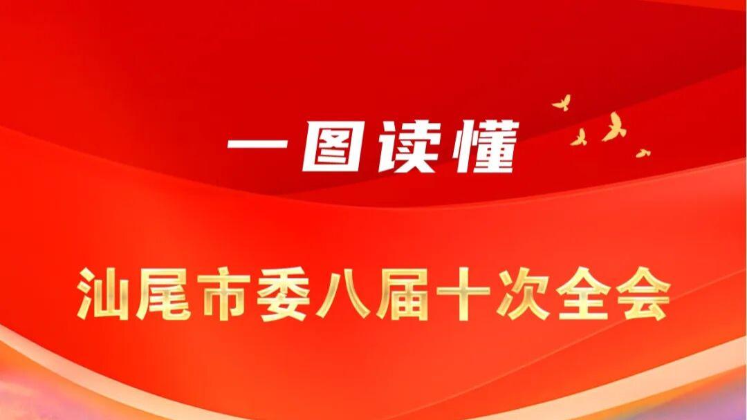 一图读懂｜汕尾市委八届十次全会
