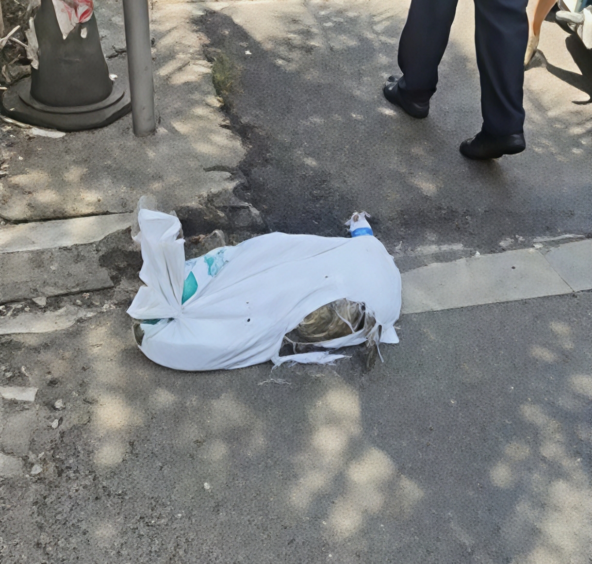 跑腿送鳄鱼半道“复活”！骑手吓出一身汗，平台商家谁的锅？
9月4号，骑手关先生接