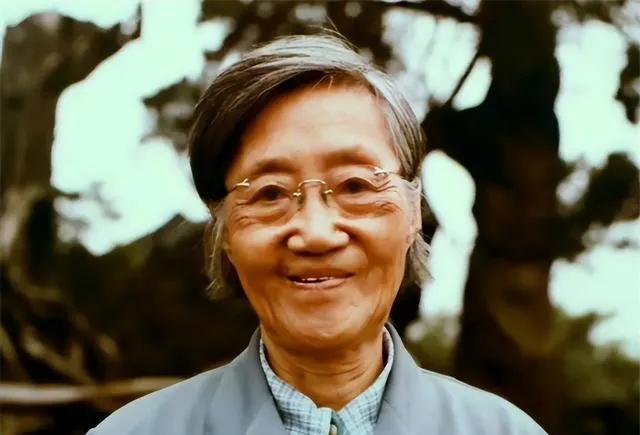 1960年，北大才女王承书从家中不辞而别，从此音信全无，17年后，当满头白发的她