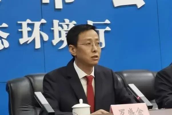 罗盛金，1978年生人，籍贯地和出生地信息没有公开，初始学历和毕业院校以及所学专