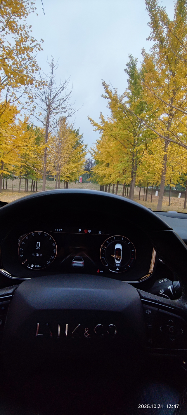 音响驾驶时激情也是驻车时的惬意
我选车考虑音响，是选车中重要一项，领克01的燕飞