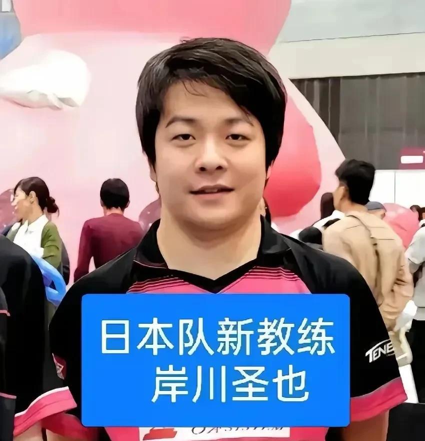 张本智和教练岸川圣也透露，张本智和又在研究雨果了。
他们已经将雨果打球视频分解成