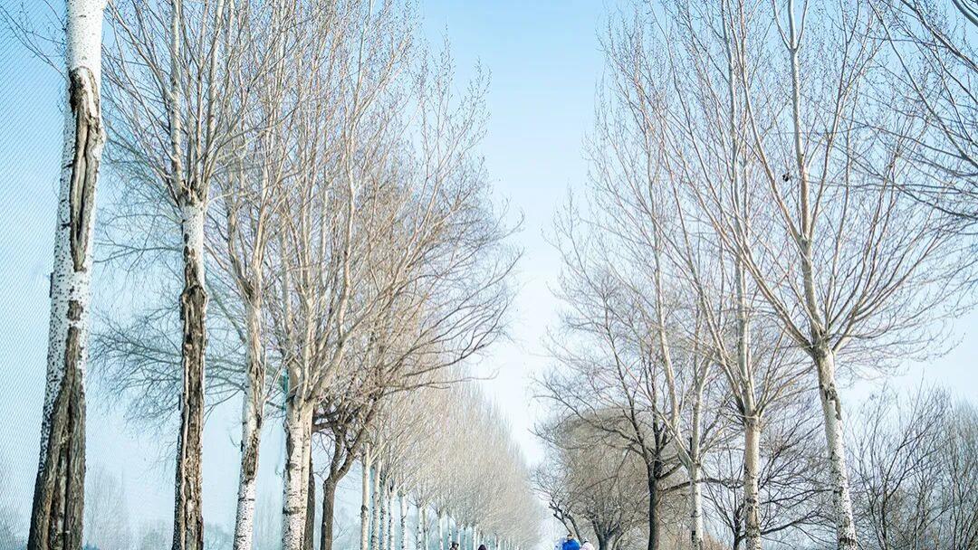 评职称出书避坑指南：书号选对，比写得快更重要