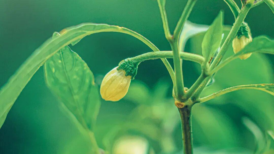 文献综述一般包括哪几部分？这是最容易被忽略的写作细节