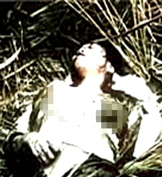 韩国屠村事件受害者讨说法











韩国海军陆战队在越南战争期间犯下