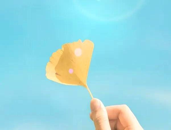 钱再多不过百年，貌再美难抗生死。
人生本是旅程，不必困于烦忧。
昨天买菜结账时前