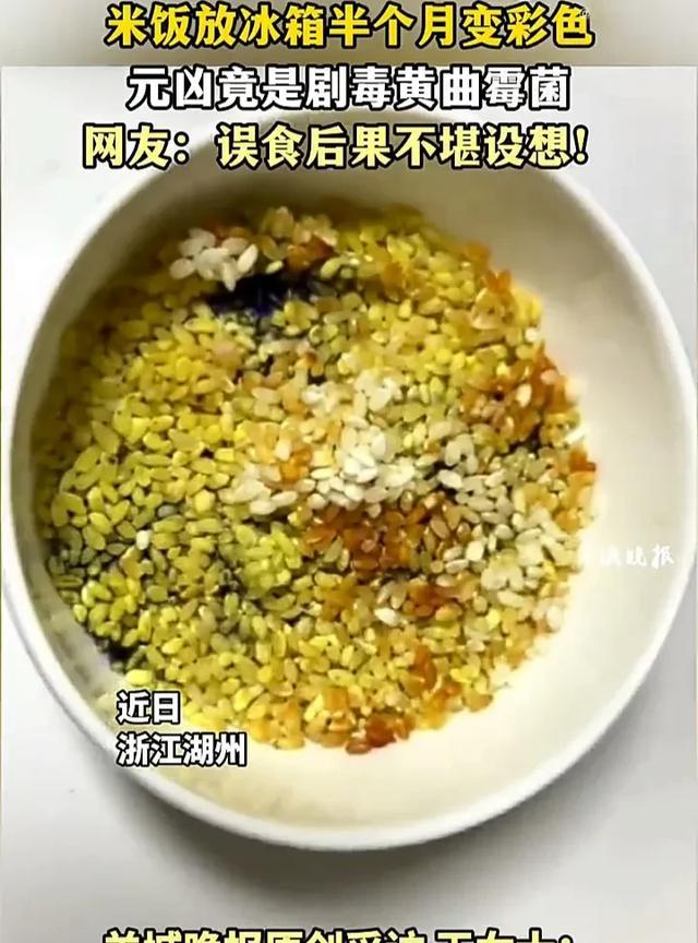事关所有人，必须警惕！近日，浙江湖州一名女子发视频称，自己把米饭放在冰箱里将近半