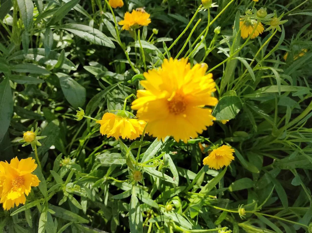 #夏日生活打卡季#
 感恩这个时代，让我们手握一部手机，结缘前行，互相守望、关心