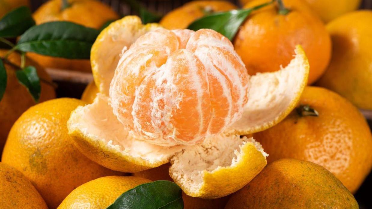 作为广西人，连广西的10大“柑橘”都不知道，是不是有点尴尬？