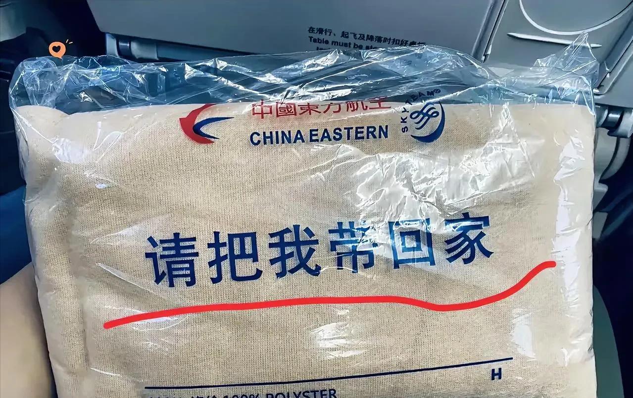 飞机上这个毯子标着中国汉字：“请把我带回家”，然而很多人看到后还是不确定，这毯子