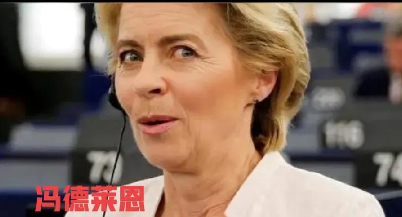 欧盟主席冯德莱恩这次被欧盟官员骂，是咎由自取还是被误解？冯德莱恩代表欧盟和美国关