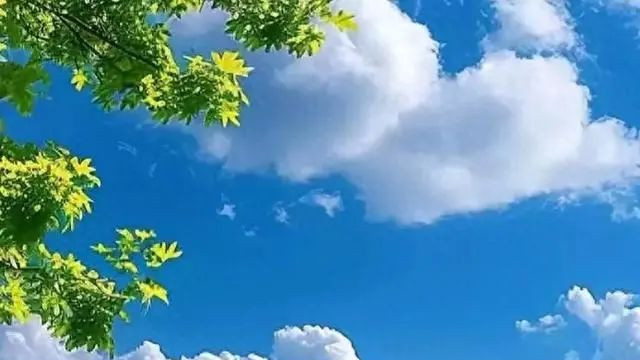 人到中年，最好的活法，就是这三个字“不解释”