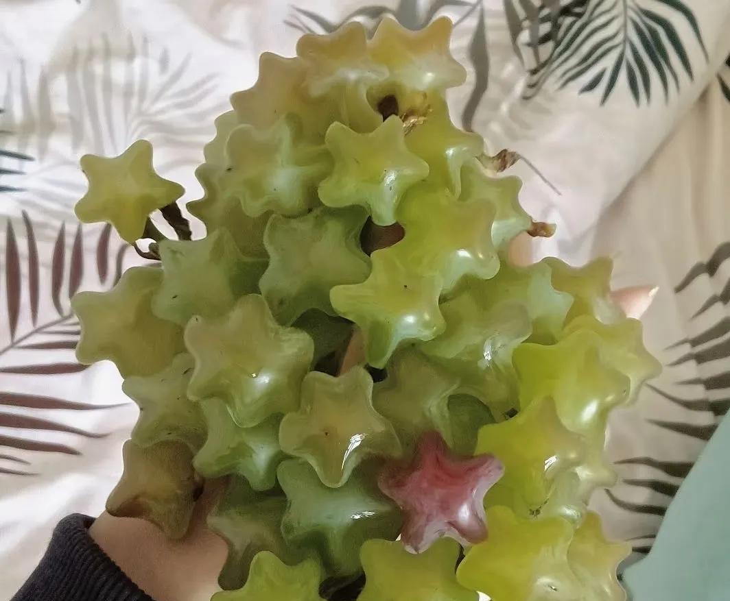 这中普通你吃过吗？
