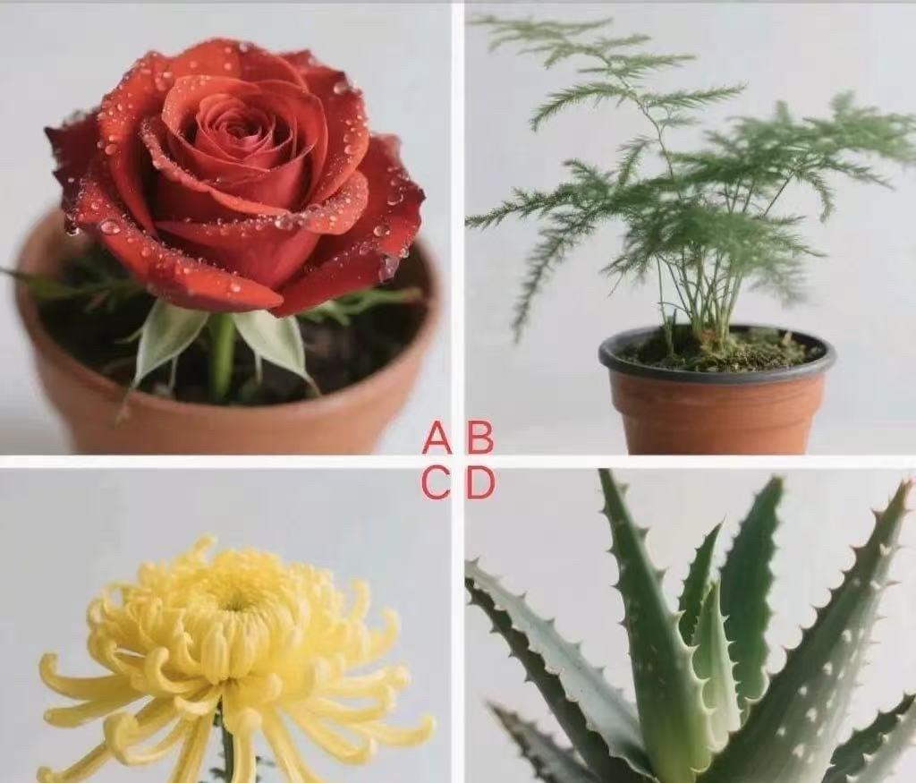 老了能靠自己吗？
测测就知道！
四幅图选一个悄悄告诉你晚年存款的小秘密~
评论区