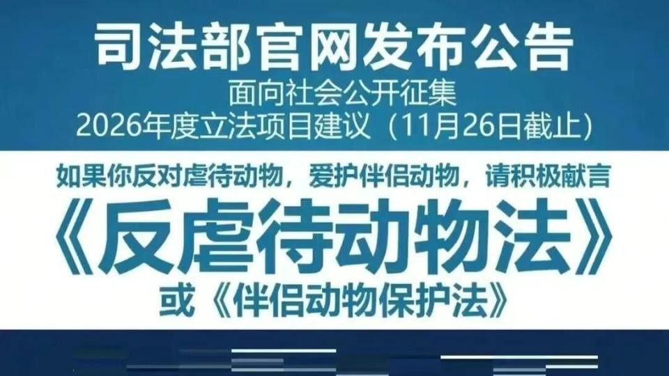 大家都在热议“同居算家庭成员”的新版本，我却想对“反虐待动物法”的征集提一个请求