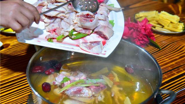 佛山三水：茶花鸡鸣响林下经济致富曲，多产融合绘乡村振兴新画卷