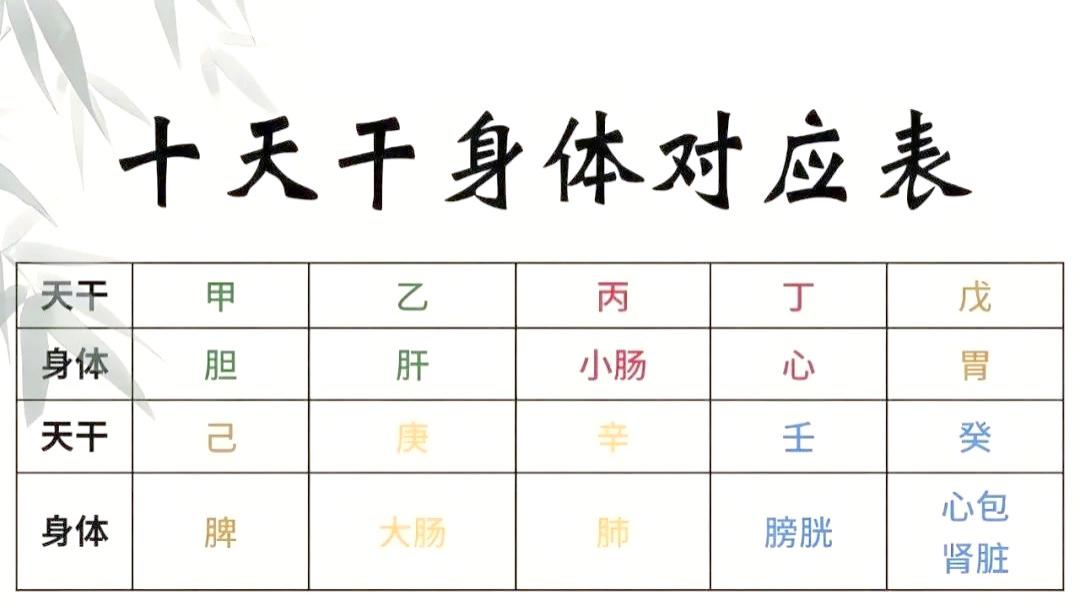 干支数学：解锁中医与自然和谐共生的密码