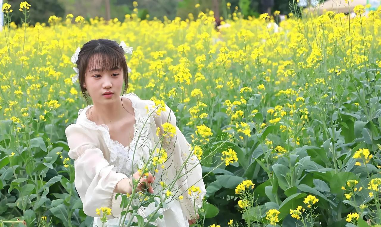 七律：咏油菜花
默默无闻油菜花，春风十里尽芳华。
扎根沃土披金发，生在乡村映彩霞