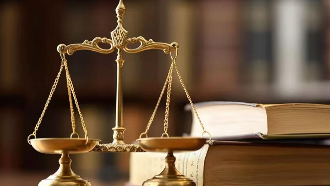 守护经济数据的“守门人”：对《刑法》第255条打击报复会计、统计人员罪的解读