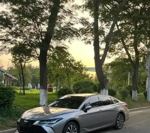 当我们提及组团购买亚洲龙时，首先想到的就是价格上的巨大优势。汽车销售行业中，团购
