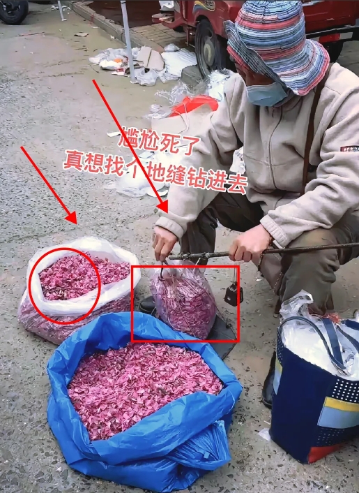 刚去早市上买菜，看到有个卖槐花的，我想着买一点回来包饺子吃，谁知道这个卖槐花的直