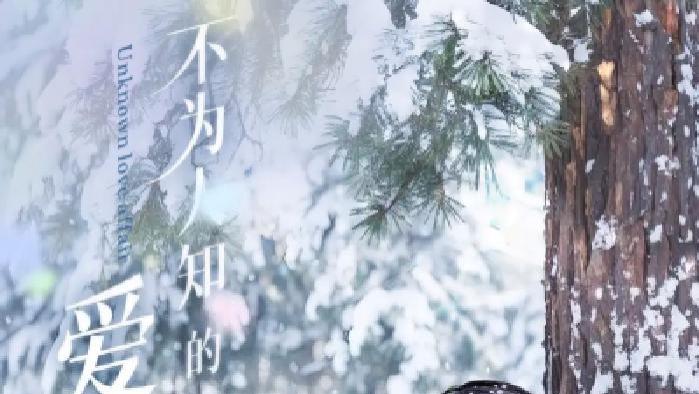 短剧《不为人知的爱恋》全网热播, 爱之秘不为人知的爱恋纠葛几何