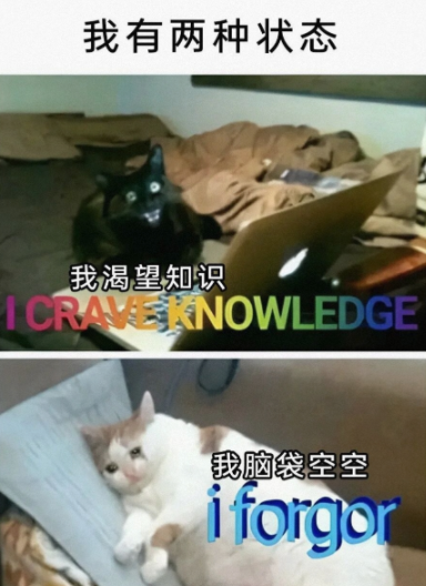我有俩种状态 