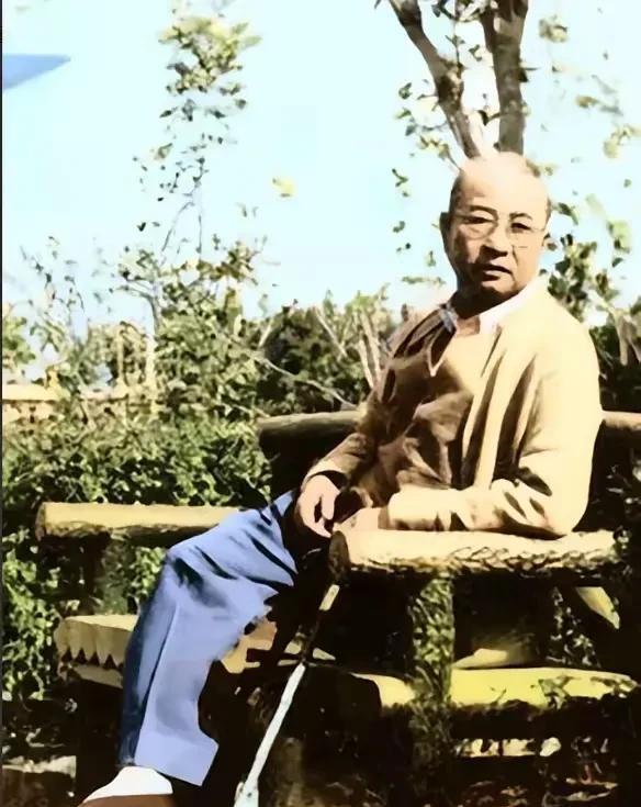 这是1961年在上海丁香花园，病重的陈赓大将照片，照片中陈赓大将有些憔悴，安静的