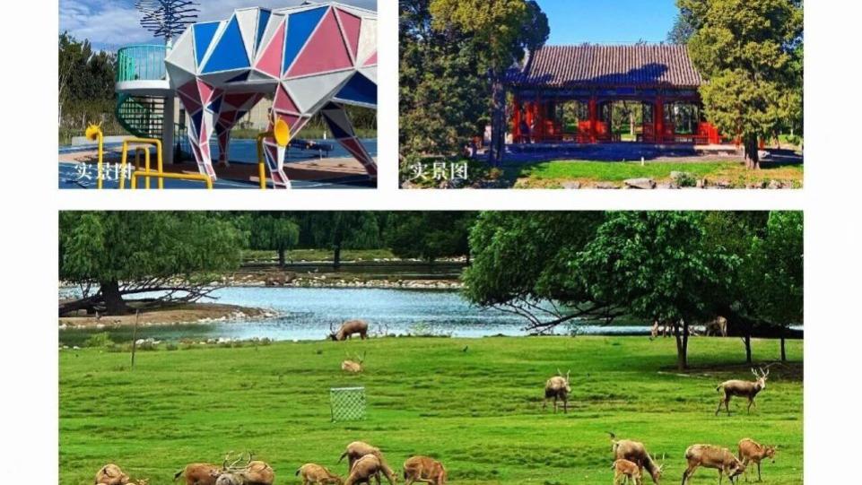 禧悦兴城漫游图鉴：以TOD地铁现房，解锁南五环的理想生活