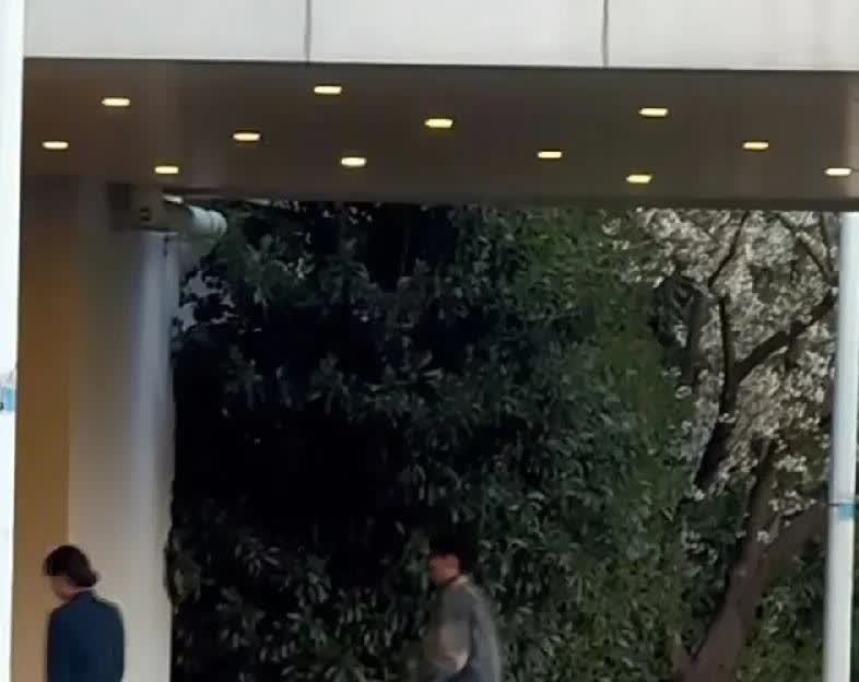 大头商务已完成，
走vip通道回北京了！
估计会有一个小假期，
这是他在全