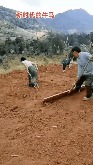 孩子他妈太拼了，
最后的前空翻让我彻底服了！