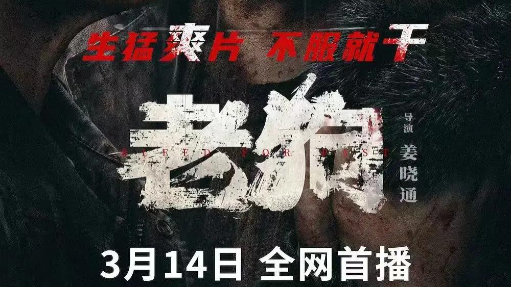2025电影《L 耂匕 丨狗》电影全集免费在线观看高清完整版[1]_派克影院全集高清免费在线观看_《