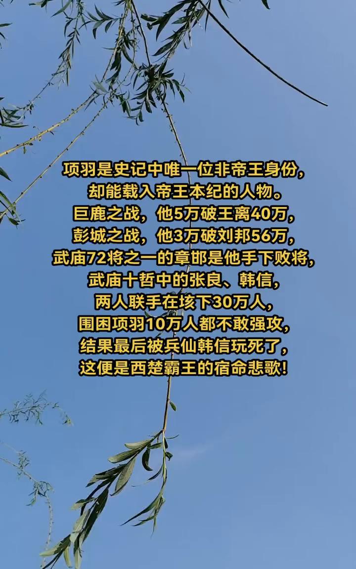 项羽是史记中唯一位非帝王身份却能载入帝王本纪的人物。巨鹿之战，他5万破王离40万