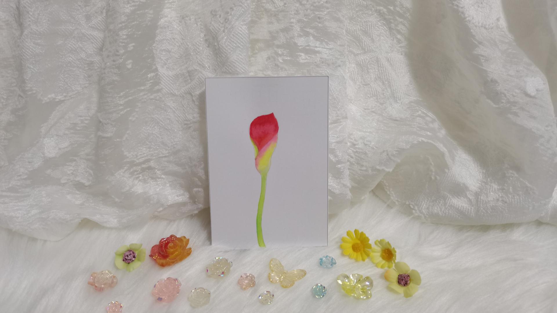 15 海芋（绘画 水彩 果花甘06）