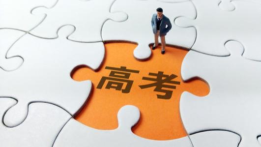上海金山东领高中——上海高考解析：24个平行志愿下的选择困境