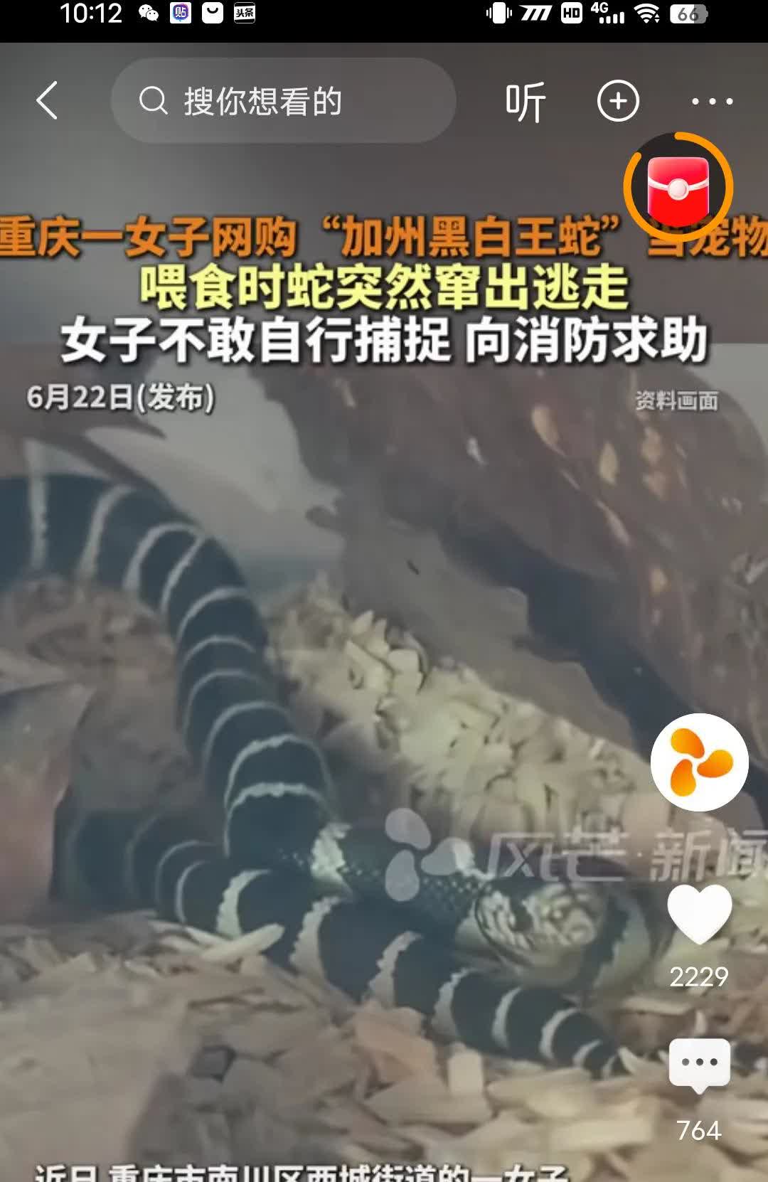 现实版叶公好龙，一女子网购加州黑白王蛇，不注意让蛇跑出来了，自已又不敢捕捉，报警