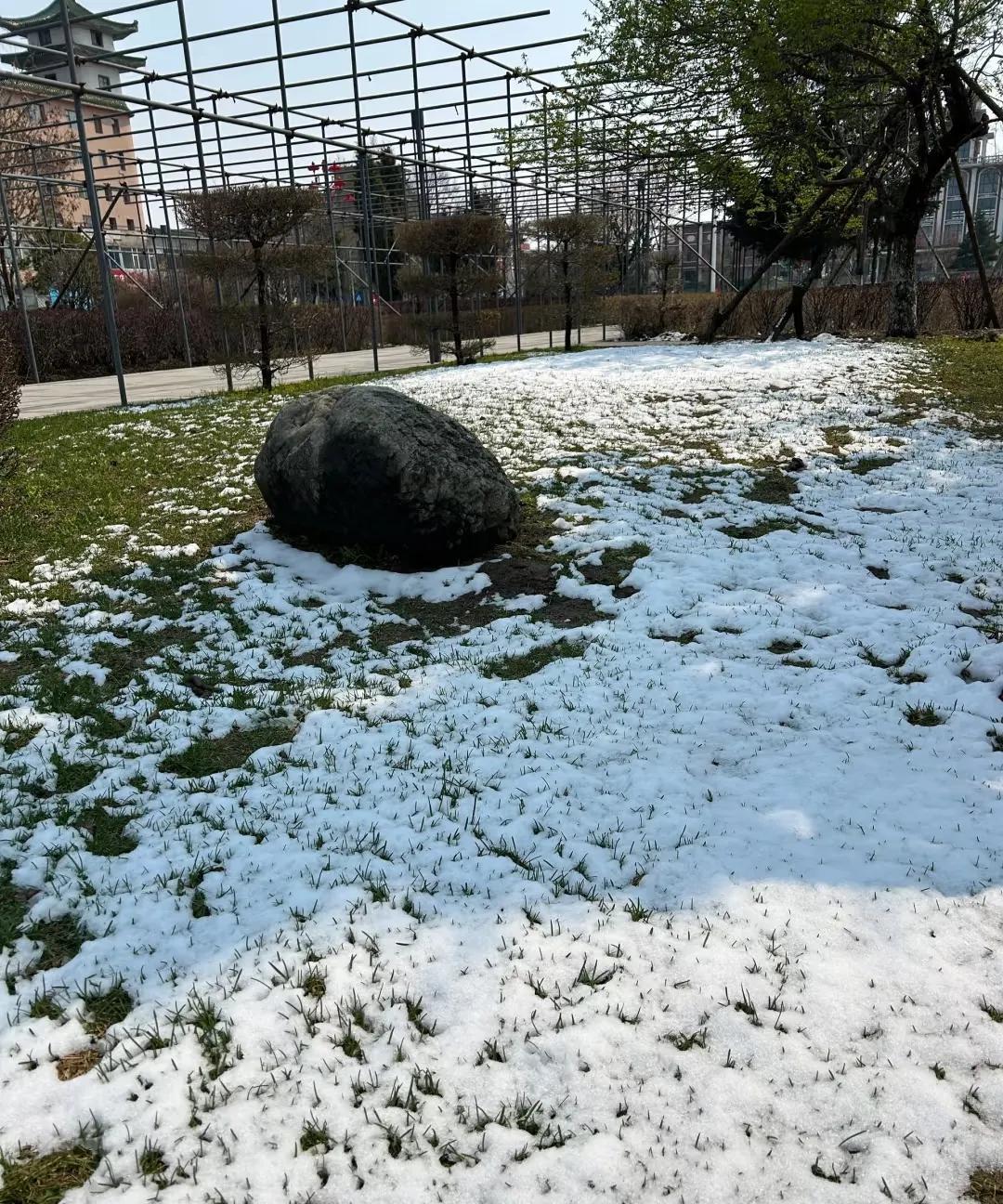 《小草》
白雪飘飘寒盖地，
小草白帽接地气。
寒冬躲地把根护，
…………？
拋砖
