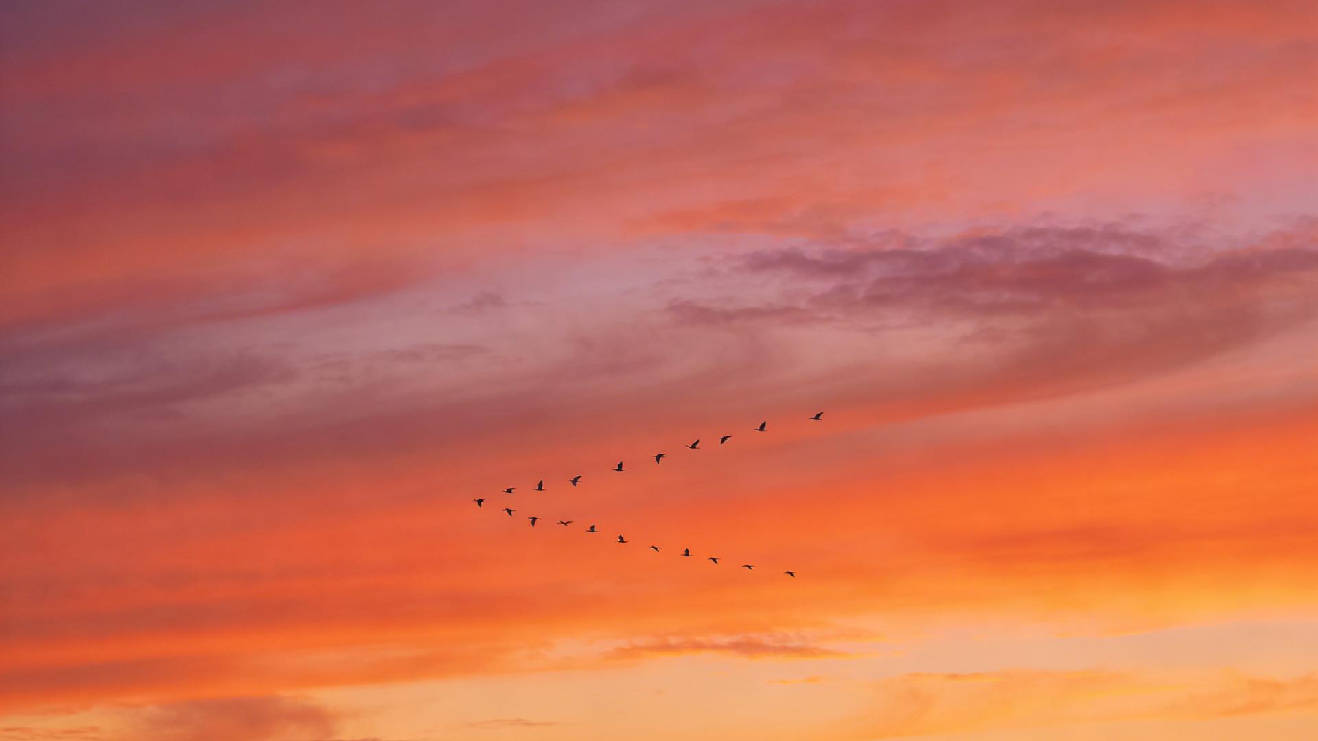 那个50岁女友的算盘打得真响：与其做月薪5000的保姆，不如做坐拥百万房产的“后妈”