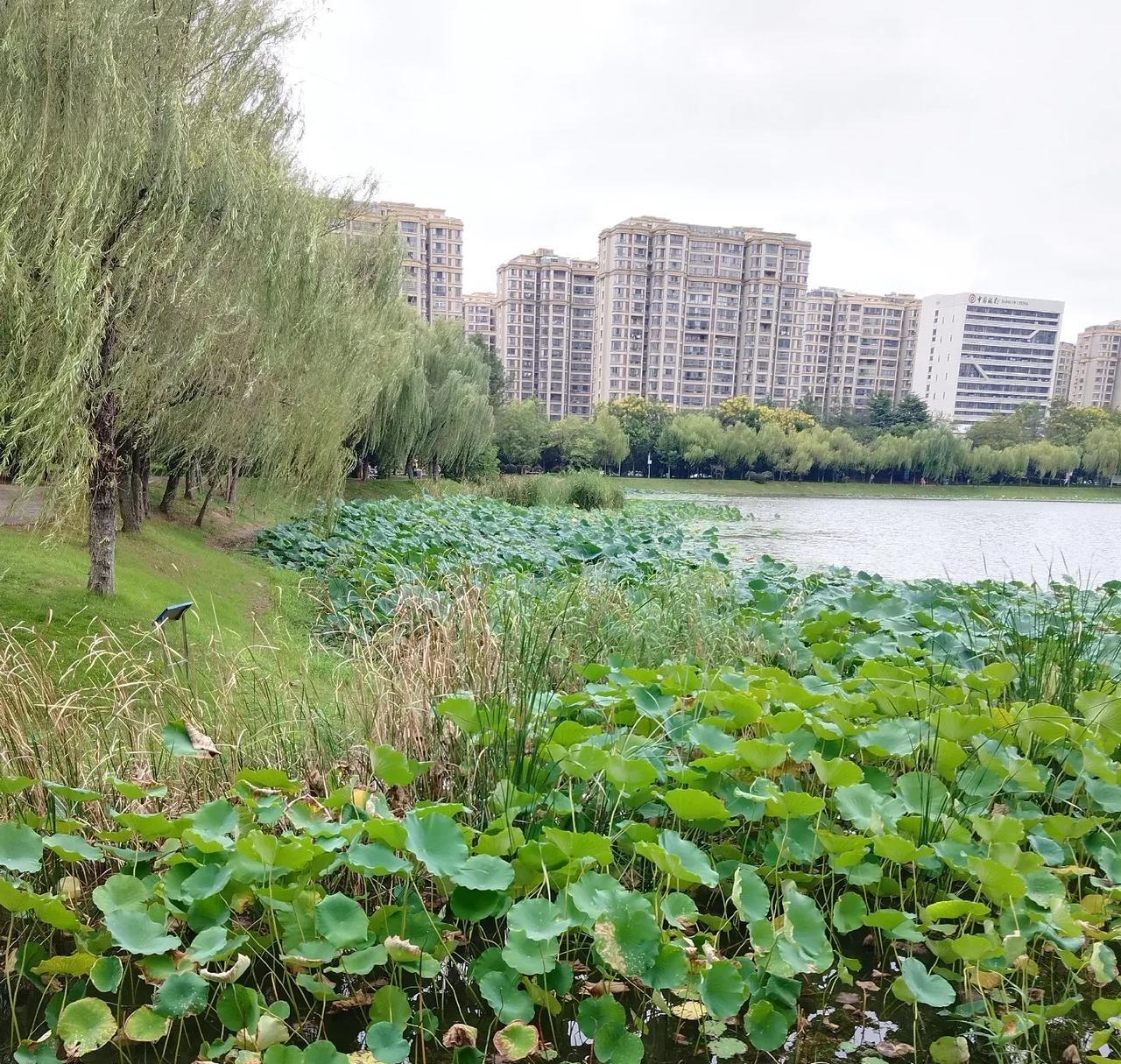 现在不少父母，在孩子读大学期间，就给孩子买好了婚房，写的是孩子的名字。
父母以为